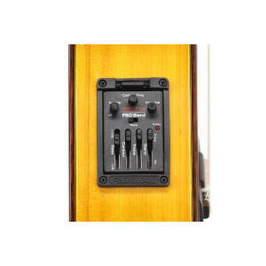 Manuel Rodriguez Signature Gipsy Kings yellow