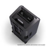 LD Systems ANNY 12 5