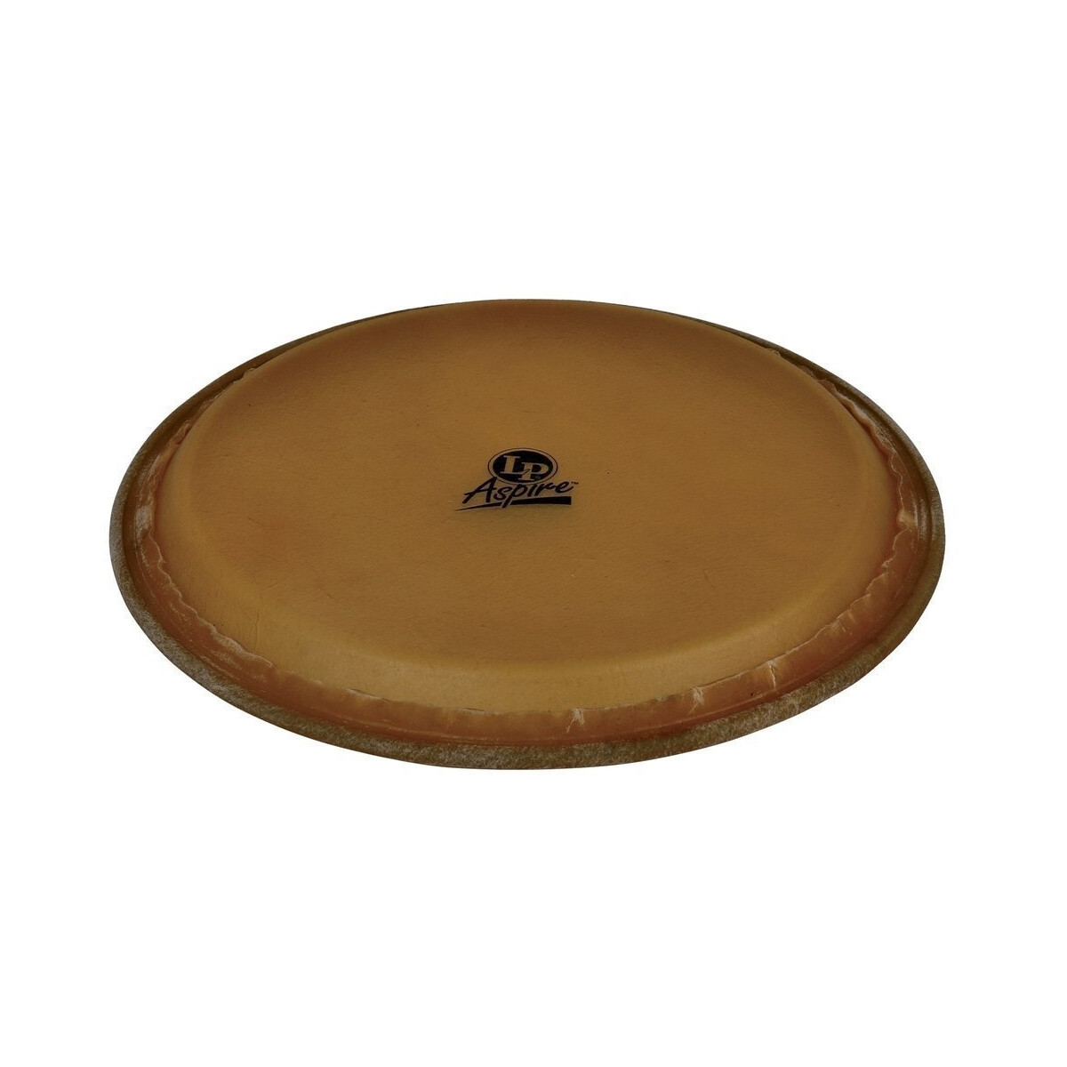 LP 11" Aspire Series Conga box