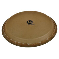 LP 11" Hand Picked Quinto