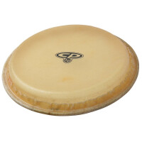 LP 11" Supreme Conga