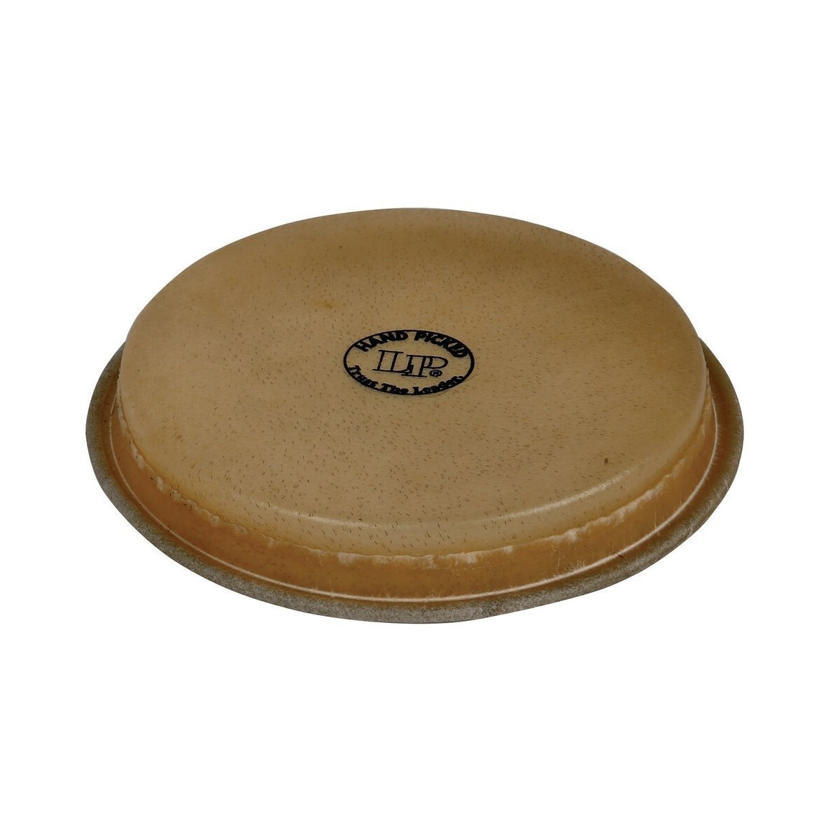 LP 8.25" Hand Picked Hembra box