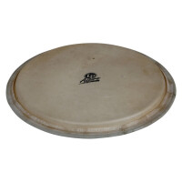 LP 12.5" Aspire Series