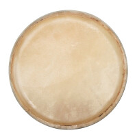 Pure Gewa 12.5"Conga CLUB SALSA