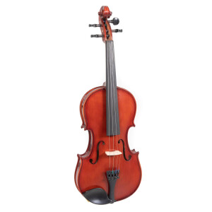 Pure Gewa violin set EW 4/4 ready to play
