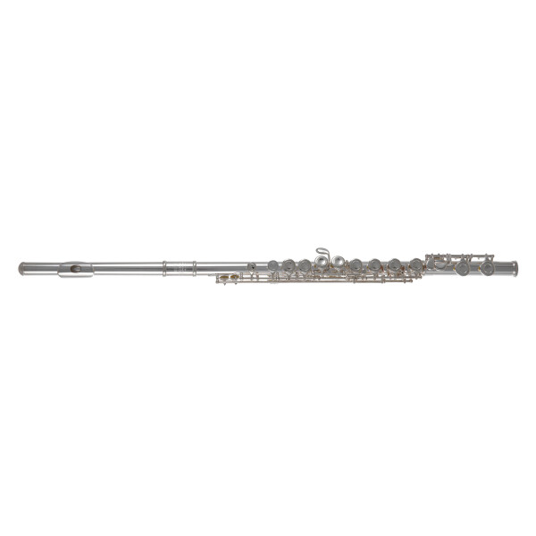 Pure Gewa flute Roy Benson FL-402E