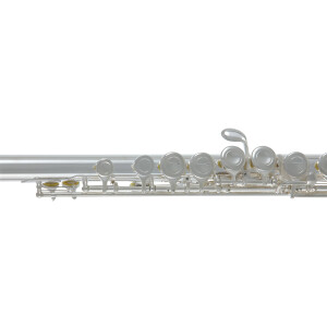 Pure Gewa flute Roy Benson FL-402E