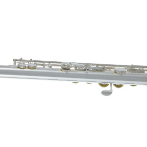 Pure Gewa flute Roy Benson FL-402E