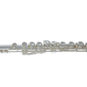 Pure Gewa flute Roy Benson FL-402E