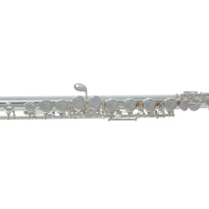Pure Gewa flute Roy Benson FL-402E