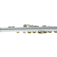 Pure Gewa flute Roy Benson FL-402E