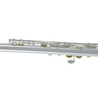 Pure Gewa flute Roy Benson FL-402E
