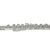 Pure Gewa flute Roy Benson FL-402E