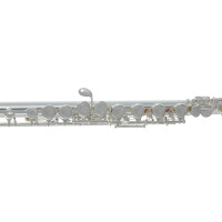 Pure Gewa flute Roy Benson FL-402E
