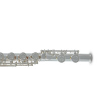Pure Gewa flute Roy Benson FL-402E