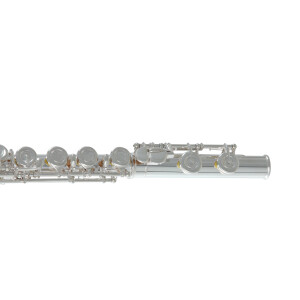 Pure Gewa flute Roy Benson FL-602E