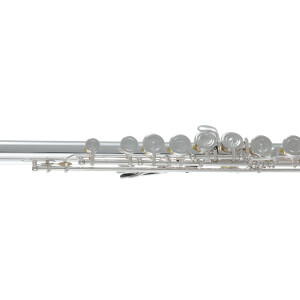 Pure Gewa flute Roy Benson FL-602E