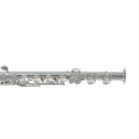 Pure Gewa flute Roy Benson FL-602E