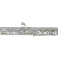 Pure Gewa flute Roy Benson FL-602E