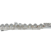 Pure Gewa flute Roy Benson FL-602E