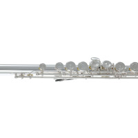 Pure Gewa flute Roy Benson FL-602E