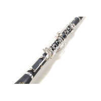 Roy Benson Bb-Klarinette CB-318 5
