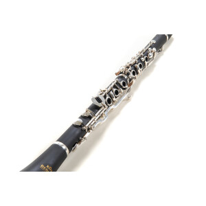Pure Gewa Bb clarinet Roy Benson CG-220