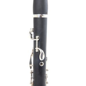 Pure Gewa Bb clarinet Roy Benson CG-220