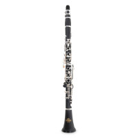 Pure Gewa Bb clarinet Roy Benson CG-220