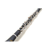 Pure Gewa Bb clarinet Roy Benson CG-220
