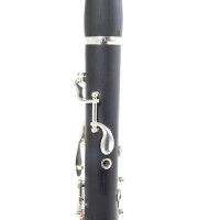 Pure Gewa Bb clarinet Roy Benson CG-220