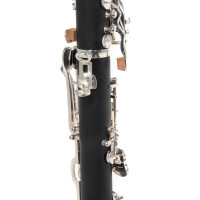 Pure Gewa Bb clarinet Roy Benson CG-220