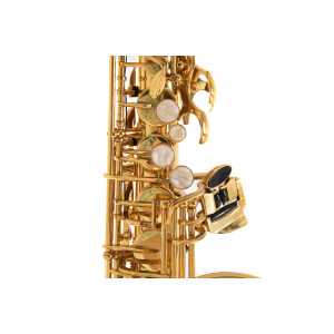 Pure Gewa Eb-Alt Childrens Saxophone Roy Benson AS-201