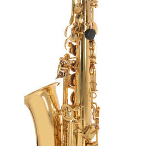 Pure Gewa Eb-Alt Childrens Saxophone Roy Benson AS-201