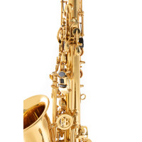 Pure Gewa Eb-Alt Childrens Saxophone Roy Benson AS-201