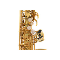 Pure Gewa Eb-Alt Childrens Saxophone Roy Benson AS-201