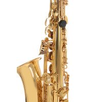 Pure Gewa Eb-Alt Childrens Saxophone Roy Benson AS-201