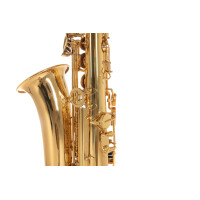 Pure Gewa Eb-Alt Childrens Saxophone Roy Benson AS-201