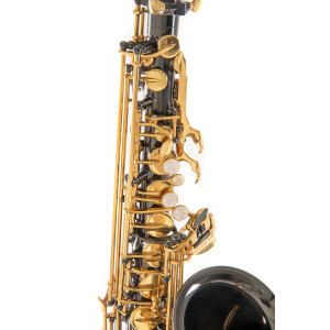 Pure Gewa Eb-Alt Saxophone Roy Benson AS-202K