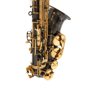 Pure Gewa Eb-Alt Saxophone Roy Benson AS-202K