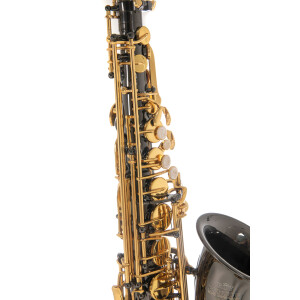 Pure Gewa Eb-Alt Saxophone Roy Benson AS-202K