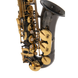 Pure Gewa Eb-Alt Saxophone Roy Benson AS-202K