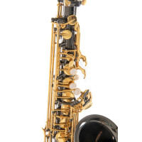 Pure Gewa Eb-Alt Saxophone Roy Benson AS-202K