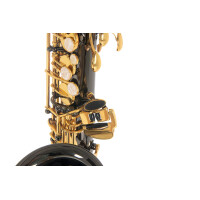 Pure Gewa Eb-Alt Saxophone Roy Benson AS-202K