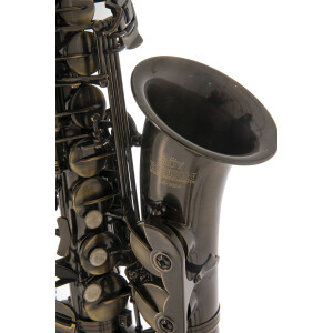 Pure Gewa Eb-Alt Saxophone Roy Benson AS-202A