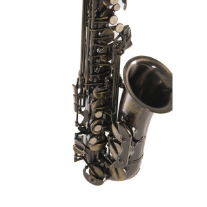 Pure Gewa Eb-Alt Saxophone Roy Benson AS-202A