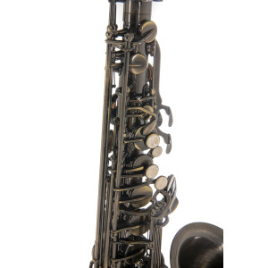 Pure Gewa Eb-Alt Saxophone Roy Benson AS-202A