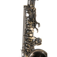 Pure Gewa Eb-Alt Saxophone Roy Benson AS-202A