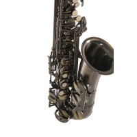 Pure Gewa Eb-Alt Saxophone Roy Benson AS-202A