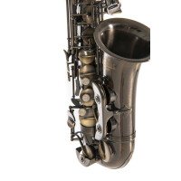 Pure Gewa Eb-Alt Saxophone Roy Benson AS-202A